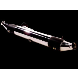 Catalyseur Sport Scart type...