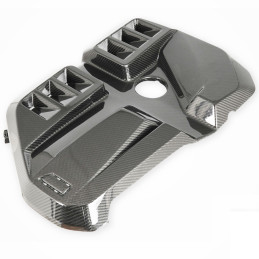 Cache moteur en carbone...