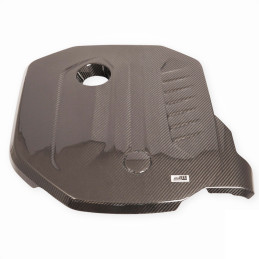 Cache moteur en carbone...