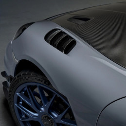 Kit lamelles + becquet en...