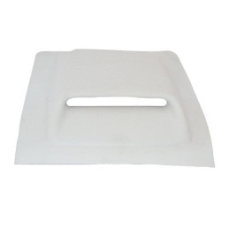 Prises d'air de toit...