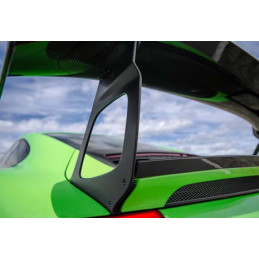 Supports d'aileron Manthey...