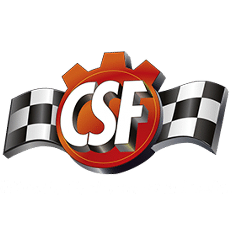 CSF
